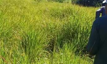 Imagem 2: Uma area de 11.72 hectare equivale a 2/5 alqueire