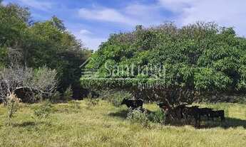 Imagem 4: Sítio - Sousas - Campinas