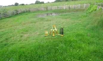 Imagem 3: Fazenda à venda - Zona Rural - Poconé - MT