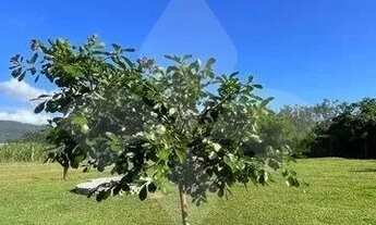 Imagem 7: Casa com 1000 m² de terreno e 4 Apartamentos, na Praia da Ferrugem Garopaba SC