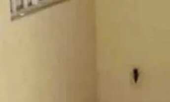 Imagem 5: Casa no João Paulo