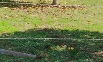 Imagem 3: Terreno Januári - 20 x 30