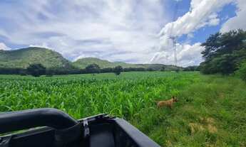Imagem 6: Fazenda de cria e recria, 105 alqueires , Vila Propício, GO