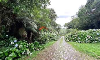 Imagem 3: Lote em Rua 21 - Alpes - São Francisco de Paula/RS