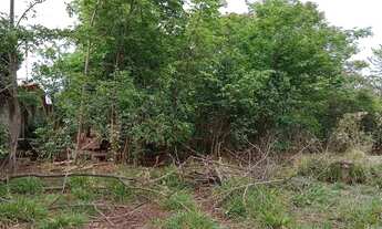 Imagem 7: Vendo excelente área ao lado da BR 153 - Estâncias Vista Alegre