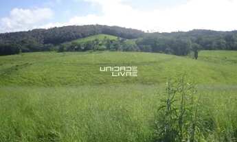 Imagem 4: Terreno à Venda em Suzano/SP Ideal para Investidores , Área de 194.153,97 m²