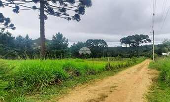 Imagem 5: Vendas Área Colombo PR