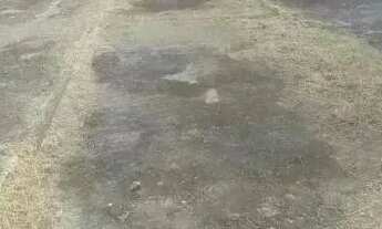 Imagem 4: Lote 450m2, Condomínio Reserva das Flores