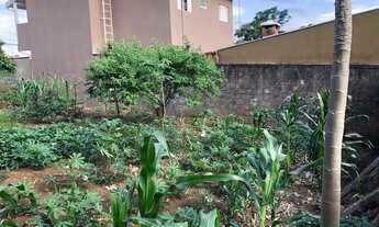 Imagem 6: Terreno em Sumaré