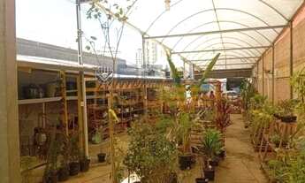 Imagem: Terreno para locação, 347m² - Jardim