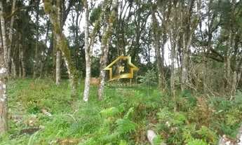 Imagem: TERRENO EM CAMPINA GRANDE DO SUL