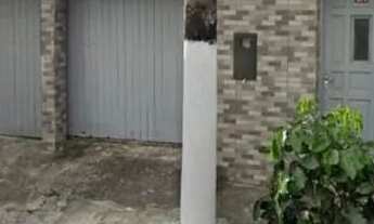 Imagem 2: Casa 8 comodos 2 garagem