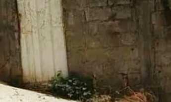 Imagem 3: Vendo lote em Vespasiano