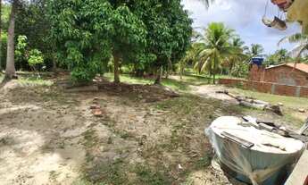 Imagem 7: Vende-se Sitio em Conde Bahia