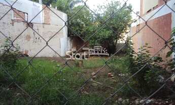 Imagem 4: Terreno - Cambuí - Campinas