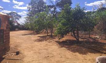 Imagem: Chácara em Nova Veneza