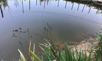 Imagem: Maravilhosa chácara,região de caete mg,50km