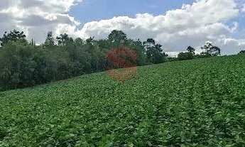 Imagem 4: Chácara/Área - Retiro Grande - Campo Largo - PR