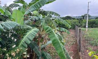 Imagem 4: Chácara 8km de Anapolis, formada, casa,galinheiro,tq peixe,cercada,5.295m2 córrego caldas