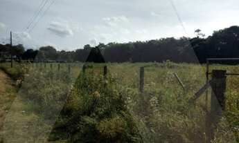 Imagem 7: Excelente Terreno Comercial ou Industrial com 12.215 m2, na SC 477, Divisa entre Timbó e I