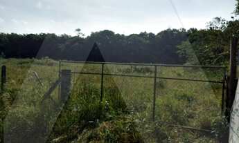 Imagem 4: Excelente Terreno Comercial ou Industrial com 12.215 m2, na SC 477, Divisa entre Timbó e I