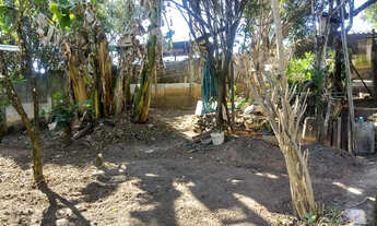 Imagem 6: Alugo casa nos Campos