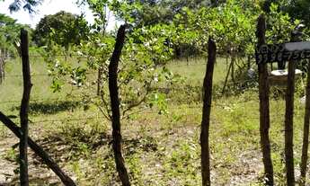 Imagem: Terreno próximo a antiga dudico