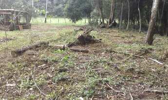 Imagem 4: Sítio 7 alqueires , eucaliptos ,pasto ,mata nativa em Atibaia SP