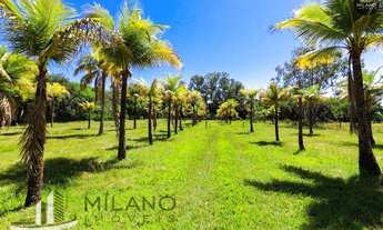 Imagem 7: Rancho a venda Tres Lagoas ms, próximo ao balneário