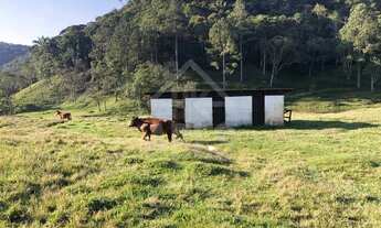 Imagem 6: VENDE - SE LINDO SÍTIO AMPLA FRENTE PARA ESTRADA COM LAGO EM JUQUITIBA - SP