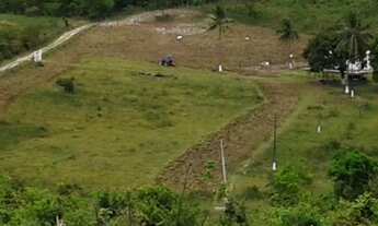 Imagem 7: Vendo fazenda em Dias Davila
