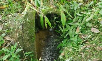 Imagem 2: Super oportunidade chácara 130 mil reais