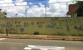 Imagem 2: Terreno Residencial à venda, Chácara Primavera, Campinas - TE0210