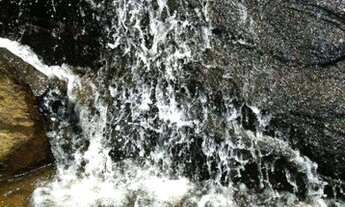 Imagem 6: Fazenda à venda próximo a Silveiras