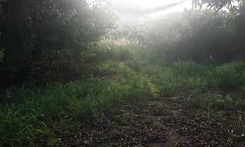 Imagem 6: Terreno Xuri Terreno / lote com venda por R$4.000.000