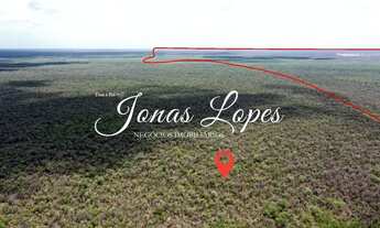 Imagem 3: Fazenda Mansidão..Bahia2.500 alqueires ...6.150 ha