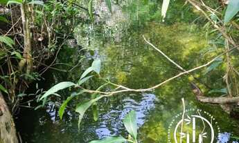 Imagem 4: Glebas do Morro Sagrado