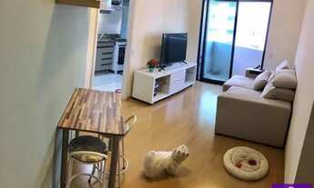 Imagem 2: Oportunidade: apto à venda e locado c/renda- 1 dormitórios - uma vaga + depósito - andar m