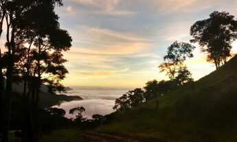 Imagem 7: Vendo chácara localizada no Sertão dos Coqueiros