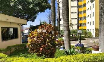 Imagem 2: Apartamento 3 quartos para Locação Limão, São Paulo