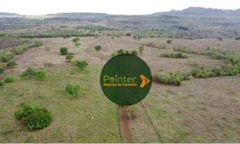 Imagem 2: Fazenda à venda, 1.011 hectares por R$ 18.000.000 - Zona Rural - Doverlândia/GO