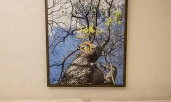 Imagem 5: Apartamento à venda no bairro Aeroviário - Goiânia/GO