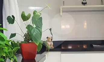 Imagem: São Paulo - Apartamento Padrão - SANTANA