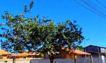 Imagem 5: Terreno em Imbituba, localizado no bairro Alto Arroio a 150 metros até a lagoa de Ibiraque