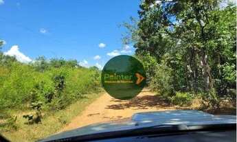 Imagem 3: Fazenda à venda, 1.248 hectares por R