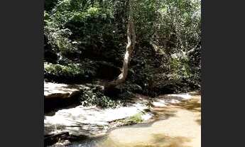 Imagem 6: Ótima oportunidade! Vendo fazenda com 2 alqueire de área verde com rio!!