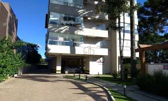 Imagem 5: Apartamento no Centro de São Francisco de Paula!