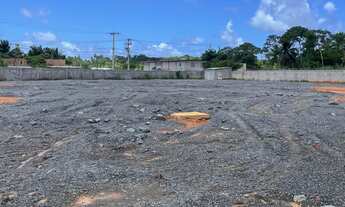 Imagem 3: Excelente área com 22.000m2, murado com concertina, plano (terraplanagem), sistema de dren