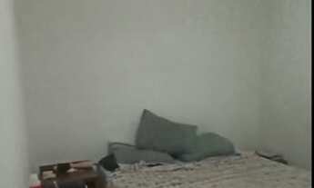 Imagem 7: Oportunidade única! Imperdível!