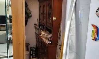 Imagem 7: CASA ASSOBRADADA - CHÁCARA SANTO ANTONIO - SP